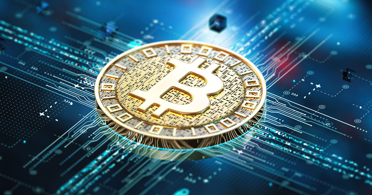 crypto-wealth-report-2025